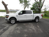 Used 2024 Ford F150 XLT image 3