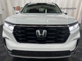 Used 2025 Honda Pilot Elite image 3