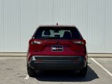New 2025 Toyota RAV4 LE image 4