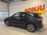 Used 2020 Ford Escape SEL image 2