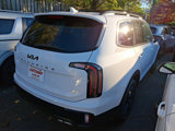 New 2025 Kia Telluride SX Prestige X-Line image 4