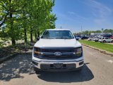 New 2024 Ford F150 XLT w/ Equipment Group 302A MID image 2