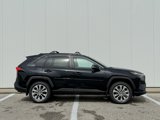 New 2025 Toyota RAV4 XLE Premium image 6