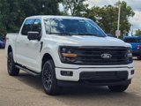 New 2025 Ford F150 XLT w/ Equipment Group 302A MID image 3