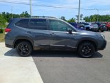 Certified 2024 Subaru Forester Wilderness w/ Wilderness Package image 4