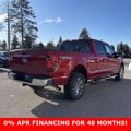 New 2025 Ford F150 XLT w/ Equipment Group 302A MID image 3