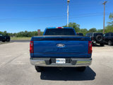 New 2025 Ford F150 XLT image 4
