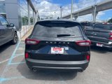 New 2025 Ford Escape ST-Line w/ Tech Pack #1 image 5