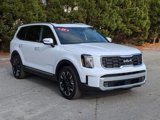 New 2025 Kia Telluride SX image 3