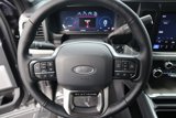 New 2026 Ford F250 Platinum image 3