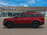New 2025 Hyundai Santa Fe Calligraphy image 3
