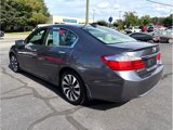 Used 2015 Honda Accord EX-L image 6
