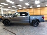 New 2025 Ford F150 Platinum image 4