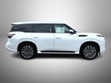 New 2025 INFINITI QX80 Luxe image 4