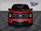 New 2025 Ford F150 XLT w/ Equipment Group 302A MID image 2