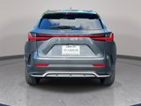 New 2025 Lexus NX 350 F Sport image 6