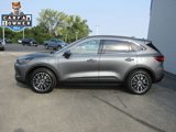 Used 2024 Ford Escape SE w/ PHEV Premium Package image 2