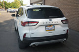 Used 2020 Ford Escape SE Sport image 5