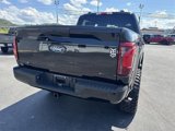 New 2025 Ford F150 STX w/ Equipment Group 200A image 5