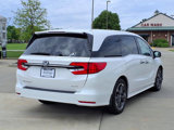 Used 2023 Honda Odyssey Elite image 4