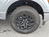 New 2025 Ford F150 XLT image 5
