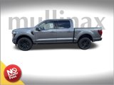 New 2025 Ford F150 Platinum w/ Equipment Group 702A High image 2