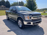 Used 2019 Ford F150 XLT w/ Equipment Group 302A Luxury image 3
