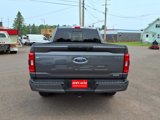 Used 2022 Ford F150 XLT w/ Equipment Group 301A Mid image 5