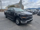 New 2025 Ford F150 XLT image 3
