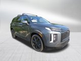 New 2025 Hyundai Palisade XRT image 2