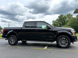 Used 2019 Ford F150 XLT w/ Equipment Group 302A Luxury image 3