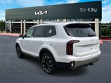 New 2025 Kia Telluride SX Prestige image 3
