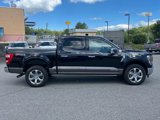 Certified 2023 Ford F150 King Ranch w/ Equipment Group 601A High image 2