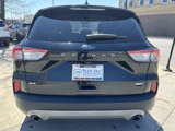 Used 2020 Ford Escape SE image 6