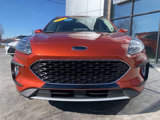 Used 2020 Ford Escape Titanium image 2
