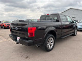 Used 2019 Ford F150 XLT w/ Equipment Group 302A Luxury image 5