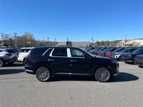 New 2025 Hyundai Palisade Calligraphy image 2