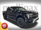 New 2025 Ford F150 Raptor image 1