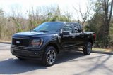 New 2025 Ford F150 STX w/ Equipment Group 200A image 2