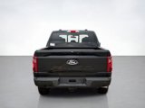 New 2025 Ford F150 XLT image 4