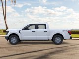New 2025 Ford F150 XL image 3