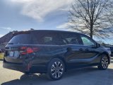 New 2025 Honda Odyssey Elite image 5