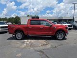 New 2025 Ford F150 XLT w/ Equipment Group 302A MID image 3