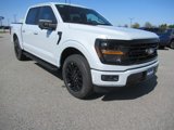 New 2025 Ford F150 XLT image 3