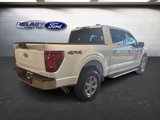 Used 2024 Ford F150 XLT image 5