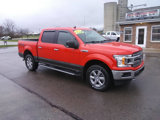 Used 2019 Ford F150 XLT w/ Equipment Group 302A Luxury image 3