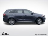 Used 2019 Kia Sorento SX image 3