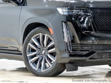 Used 2023 Cadillac Escalade Sport Platinum image 3