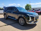 New 2025 Hyundai Palisade Calligraphy image 4