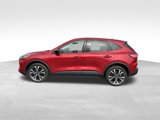 Used 2022 Ford Escape SE w/ SE Sport Appearance Package image 2